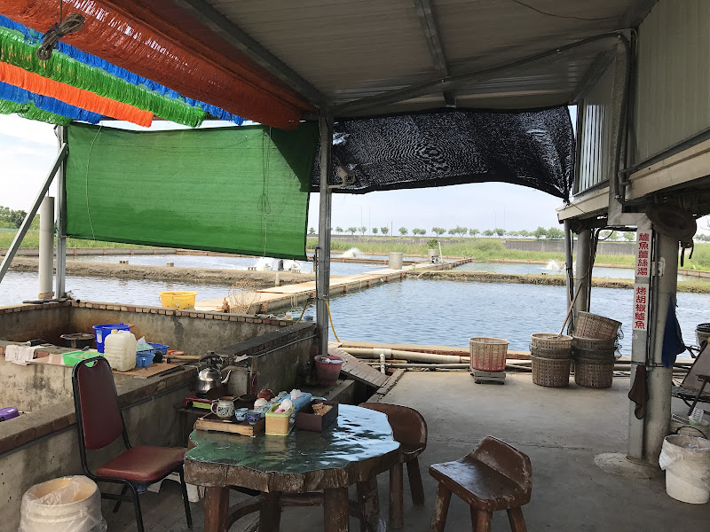 牛港魚池 烤蚵吃到飽 - 東石 創始店