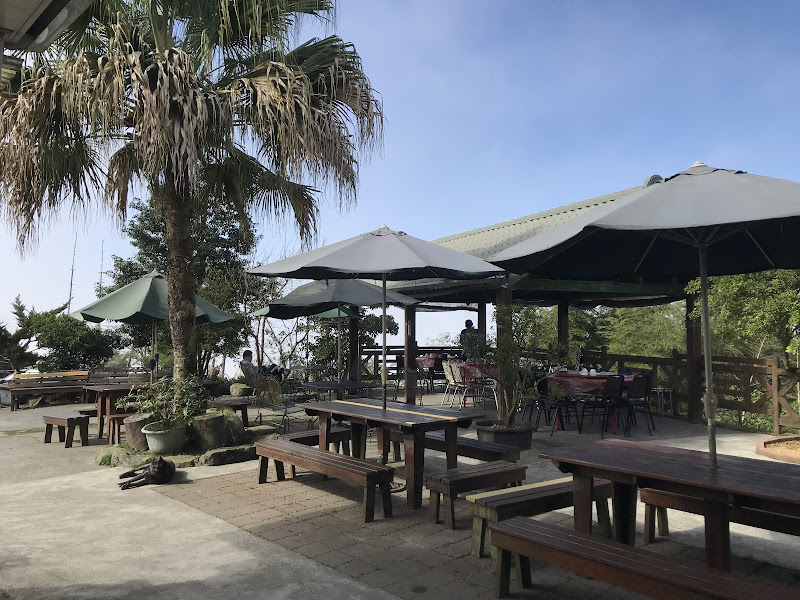 嘉義梅山二尖山休閒茶園