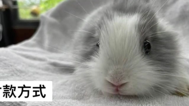 岩頂自然休閒坊