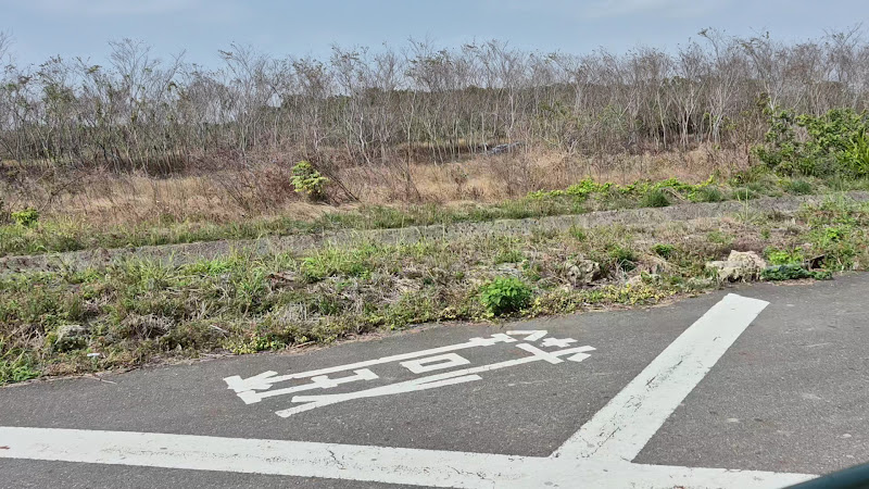 烏樹林休閒園區