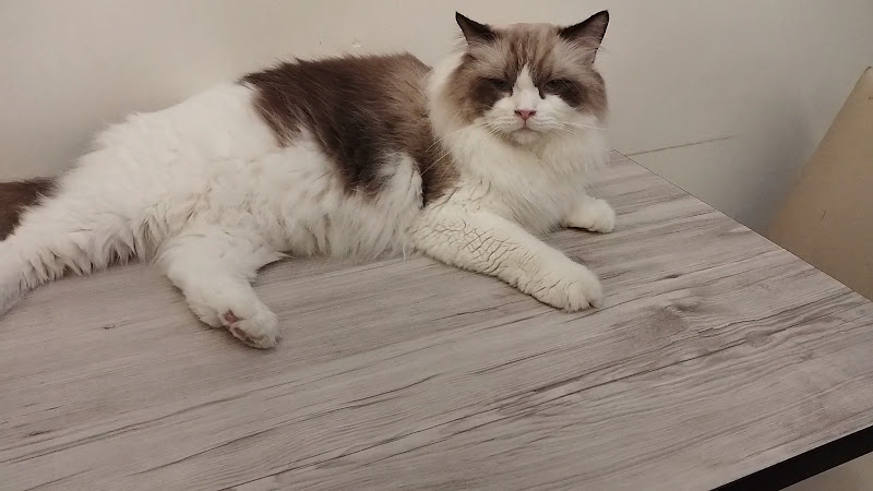 J's Coffee 僦室 貓屋