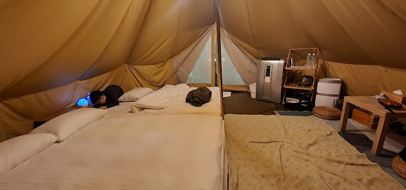 皇后鎮森林金山