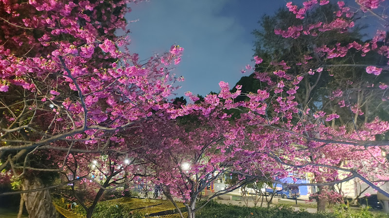 摩斯漢堡 中壢環中店