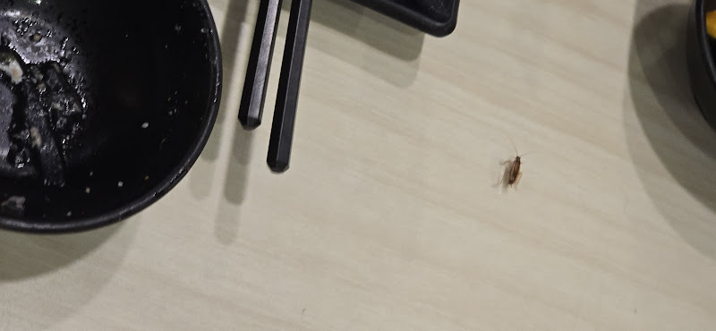 佰元鍋時尚湯鍋山仔頂店